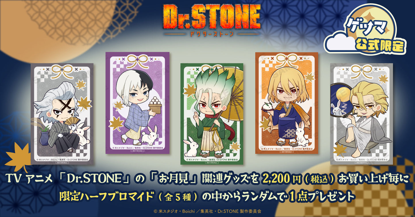 Dr.STONE アクリル根付ストラップ(Dr.ゼノ)